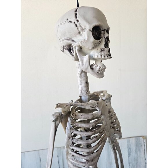 33" jointed hanging skeleton prop - Picture 8 of 9